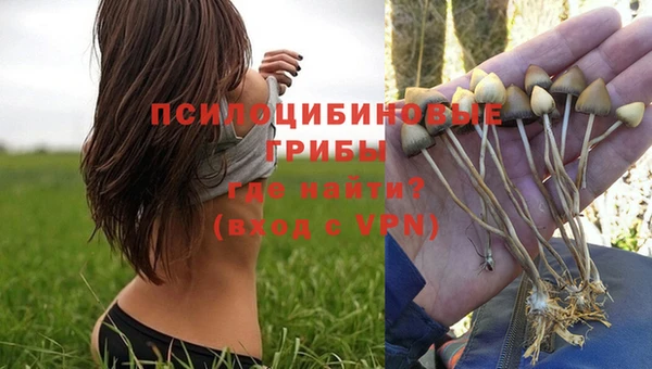 мескалин Медногорск