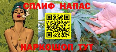спиды Гай