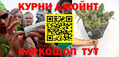 спиды Гай