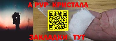 спиды Гай