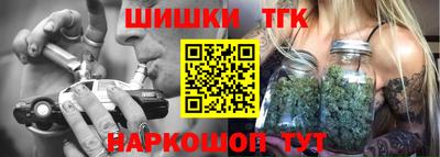 спиды Гай