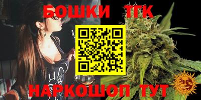 спиды Гай