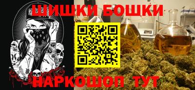 спиды Гай