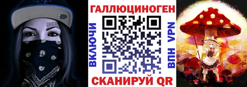 MEGA как войти  Гагарин  shop клад  Галлюциногенные грибы Cubensis 