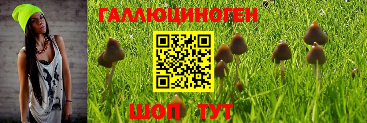 Псилоцибиновые грибы MAGIC MUSHROOMS Гагарин