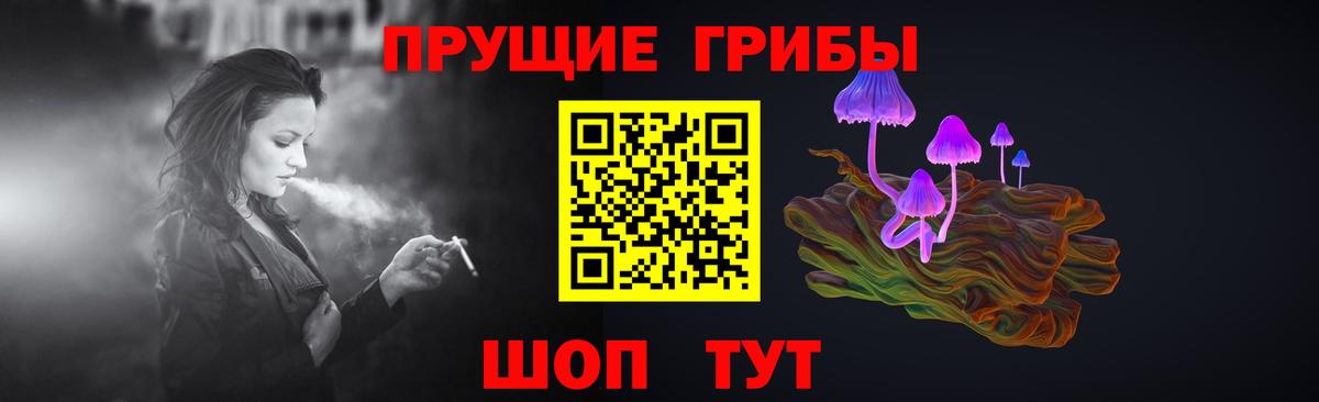 купить наркотики цена  Псилоцибиновые грибы MAGIC MUSHROOMS  Вход с VPN  Гагарин 